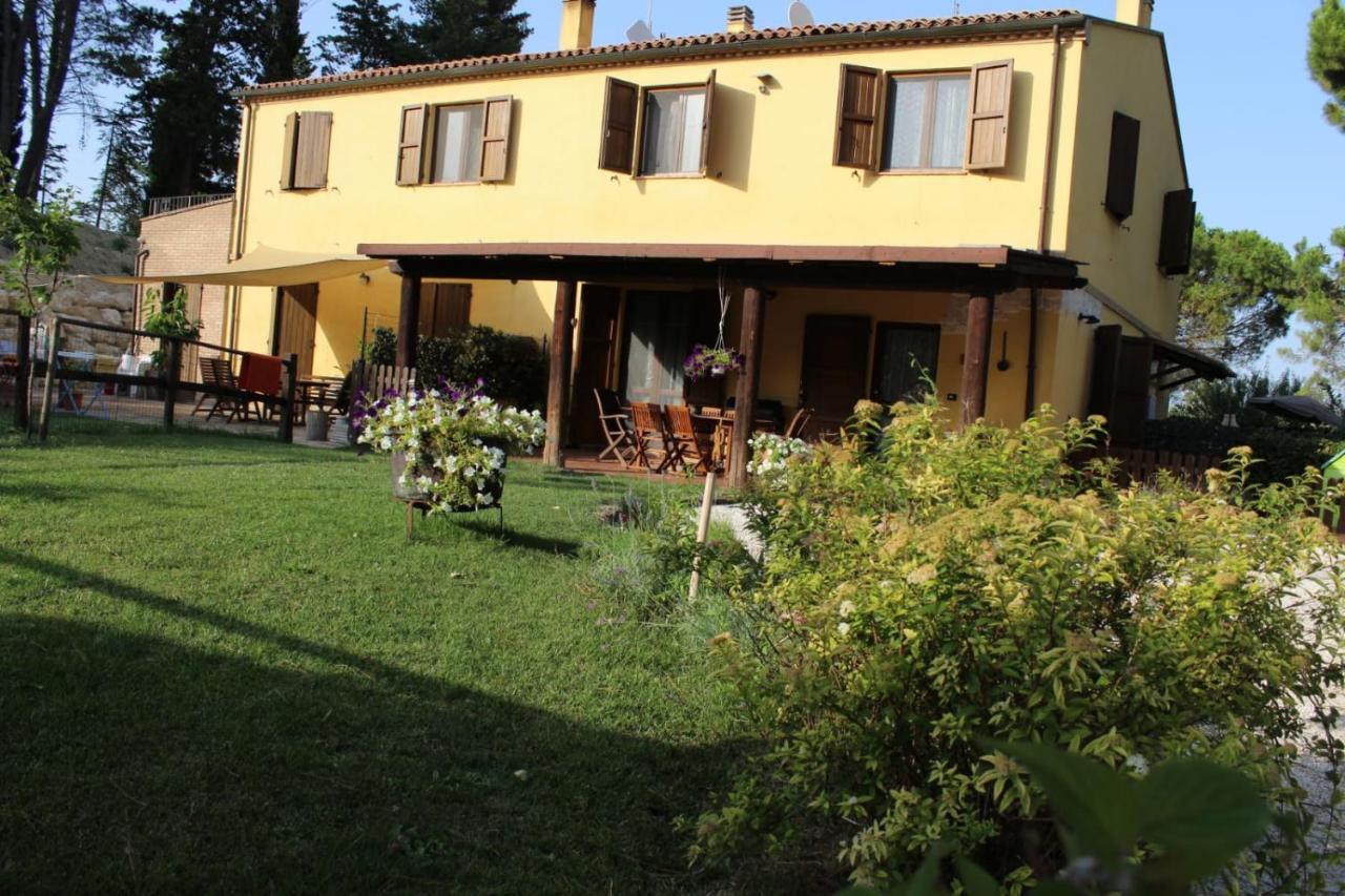Il Gelso Nero Bed & Breakfast
